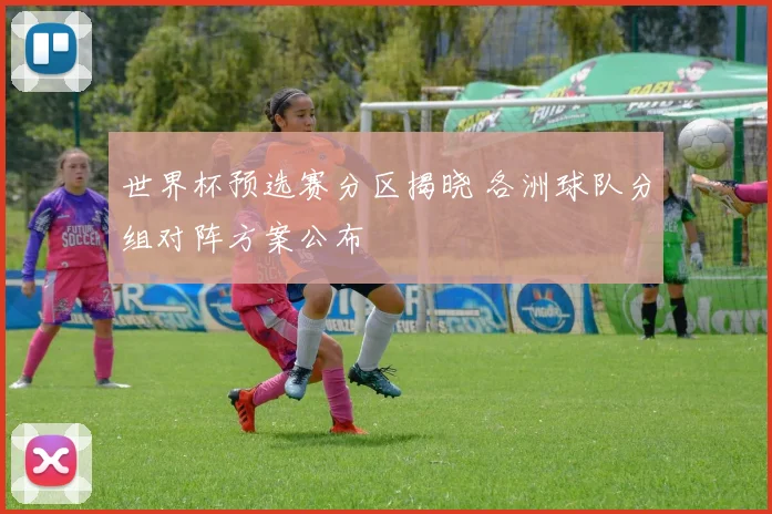 世界杯预选赛分区揭晓 各洲球队分组对阵方案公布